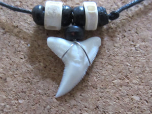 Real Shark Tooth Necklace
