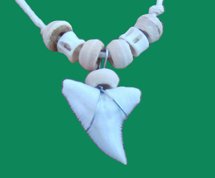 REAL SHARK TOOTH necklace Jaw Teeth Beige Cord Large Teeth Surfer Girl Boy Mens, view 2