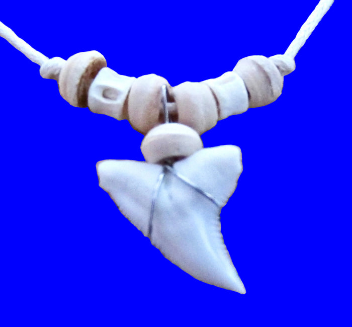 Tiger Shark Tooth Necklace, view 3