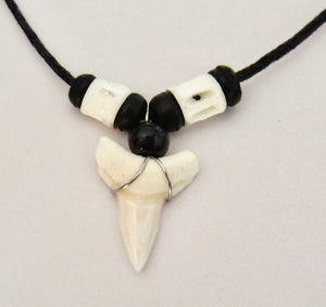 Shark Tooth Teeth Necklace Adjustable Black Cord Gift Surfer Boy Men Women, view 4