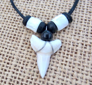 Real Mako Shark Tooth Necklace