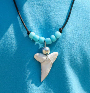 Tiger Shark Tooth Necklace: Blue Seed Beads, view 3