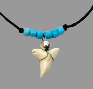 Tiger Shark Tooth Necklace: Blue Seed Beads, view 2