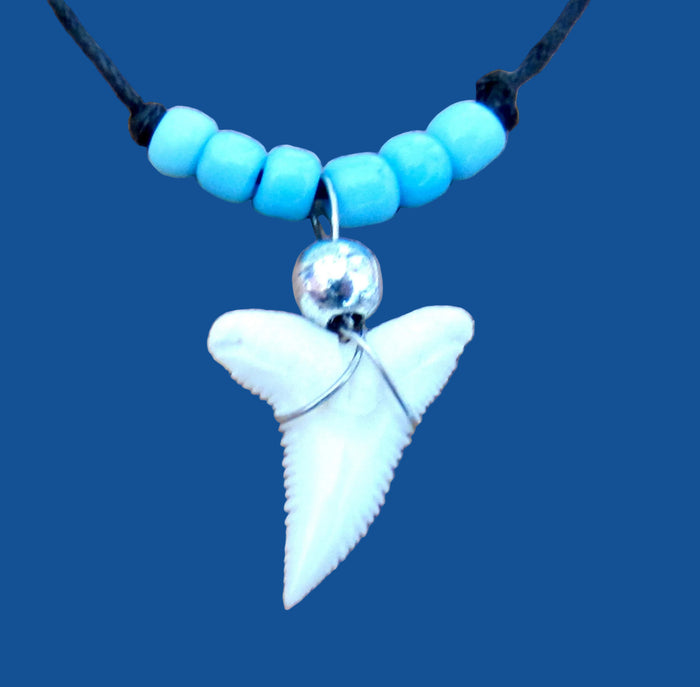 Tiger Shark Tooth Necklace: Blue Seed Beads
