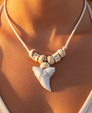 REAL SHARK TOOTH necklace Jaw Teeth Beige Cord Large Teeth Surfer Girl Boy Mens