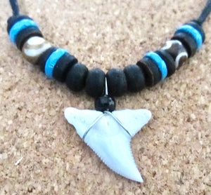 Real Tiger Shark Tooth Necklace