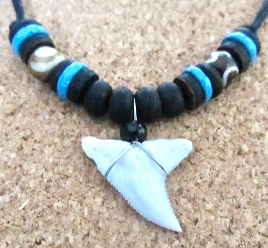 Real Tiger Shark Tooth Necklace