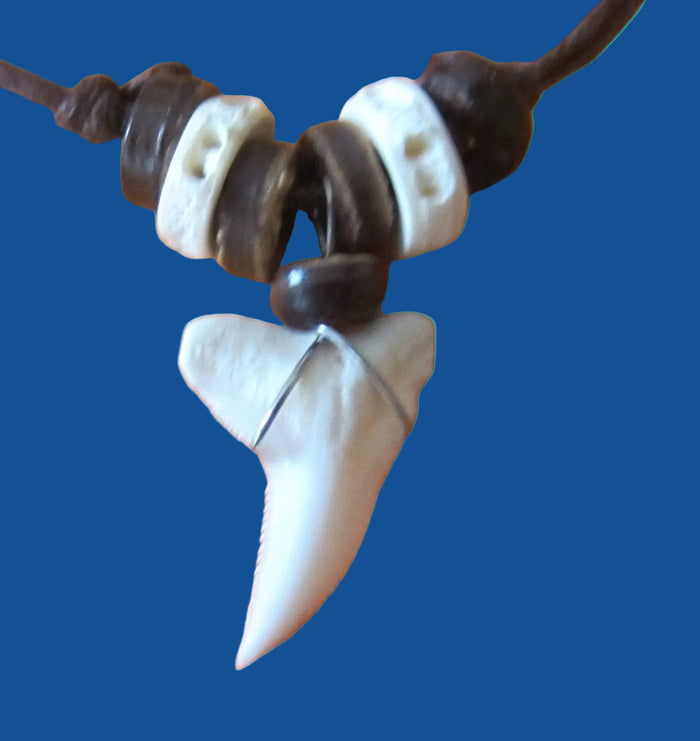 Real Tiger Shark Tooth Necklace