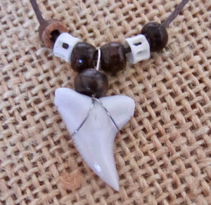 Real Tiger Shark Tooth Necklace, view 4